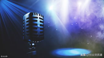 音樂(lè)類(lèi)網(wǎng)絡(luò)文化經(jīng)營(yíng)許可證審批機(jī)構(gòu)及互聯(lián)網(wǎng)信息咨詢(xún)服務(wù)