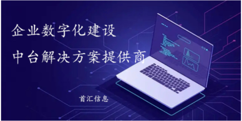 湖南中小企業(yè)信息化服務(wù) 首匯信息的專(zhuān)業(yè)供應(yīng)與互聯(lián)網(wǎng)信息咨詢(xún)