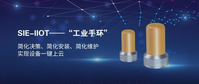 賽意信息攜工業(yè)互聯(lián)網(wǎng)示范線亮相工業(yè)互聯(lián)網(wǎng)峰會，以數(shù)字化力量助推中國智造升級轉(zhuǎn)型